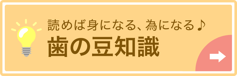 歯の豆知識