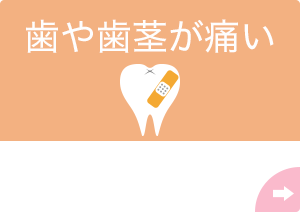 歯や歯茎が痛い